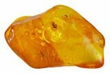 Detailed Fossil Ant (Formicidae) In Baltic Amber #135082-1